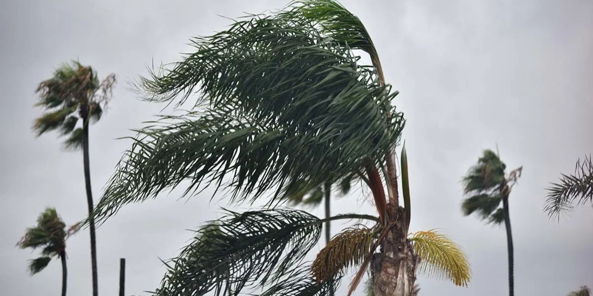 Gusty Santa Ana Winds and Rising Temperatures Expected Across Southern California This Weekend