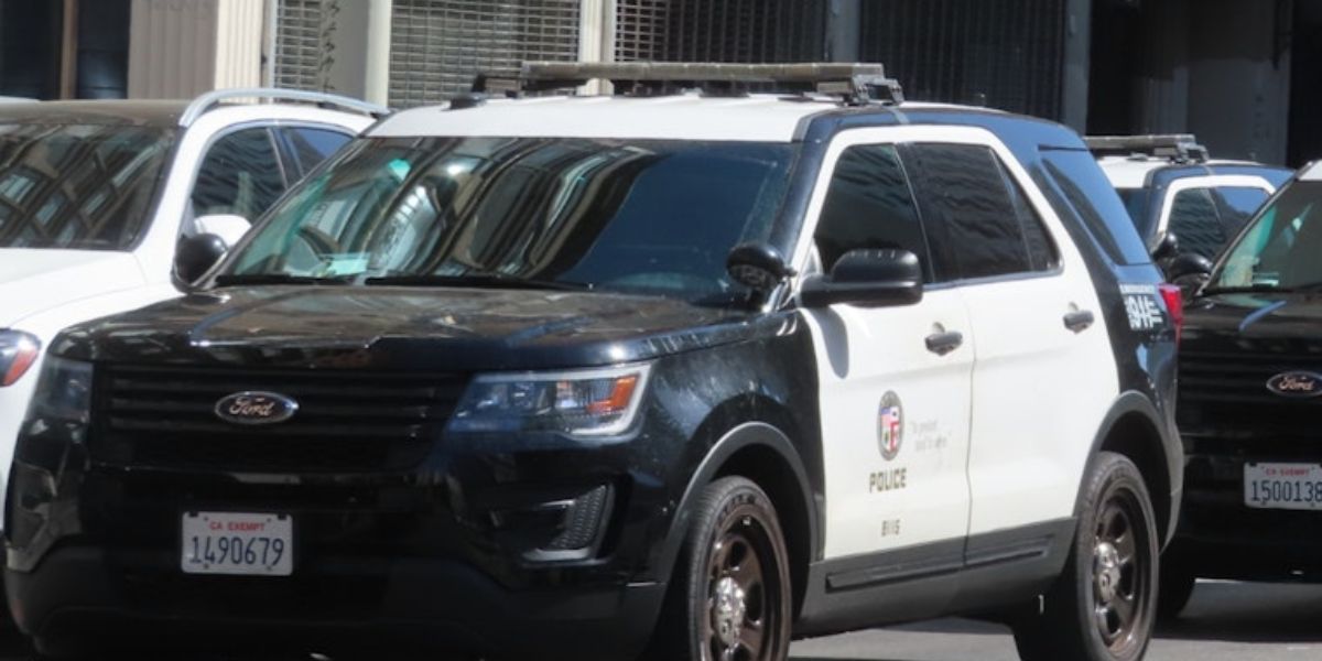 Hit-and-Run in Sherman Oaks Leaves Dog Dead and Pedestrian Severely Injured