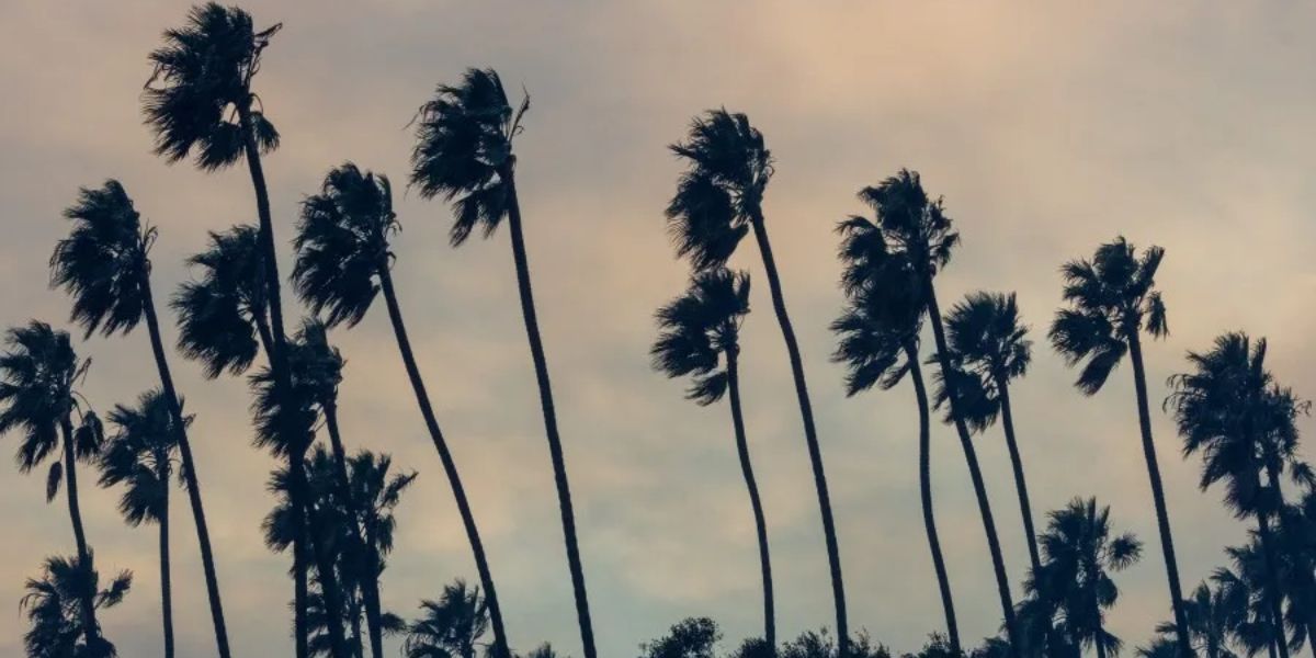 Powerful Santa Ana Winds Continue Across Southern California, Prompting High Wind Warnings