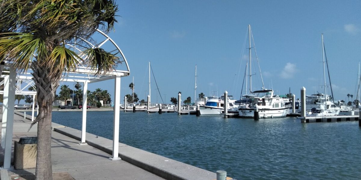 Record-Breaking Warmth Possible in Sarasota as Fog and Weekend Cold Front Shape Forecast