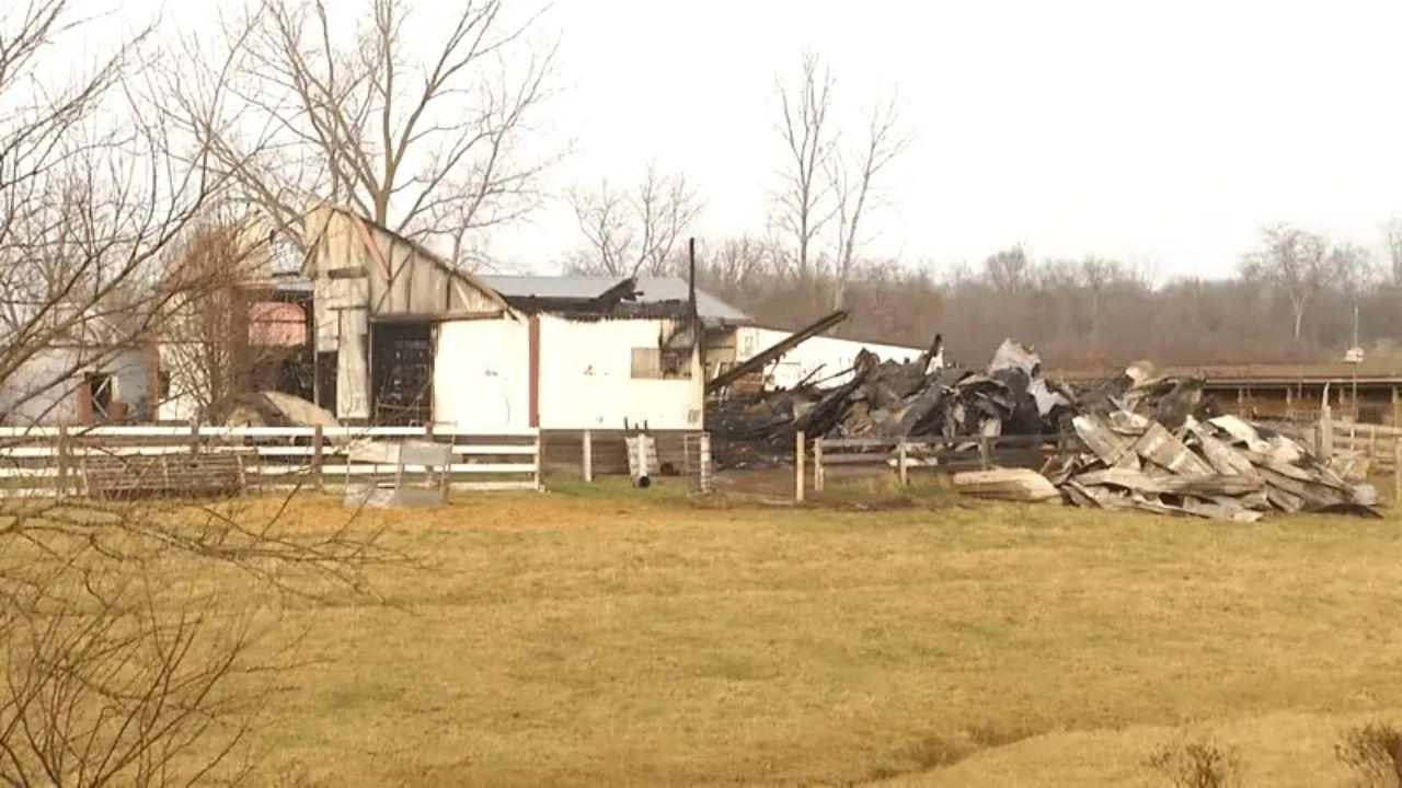 Temperance Man Loses Nearly 100 Goats in Overnight Barn Fire